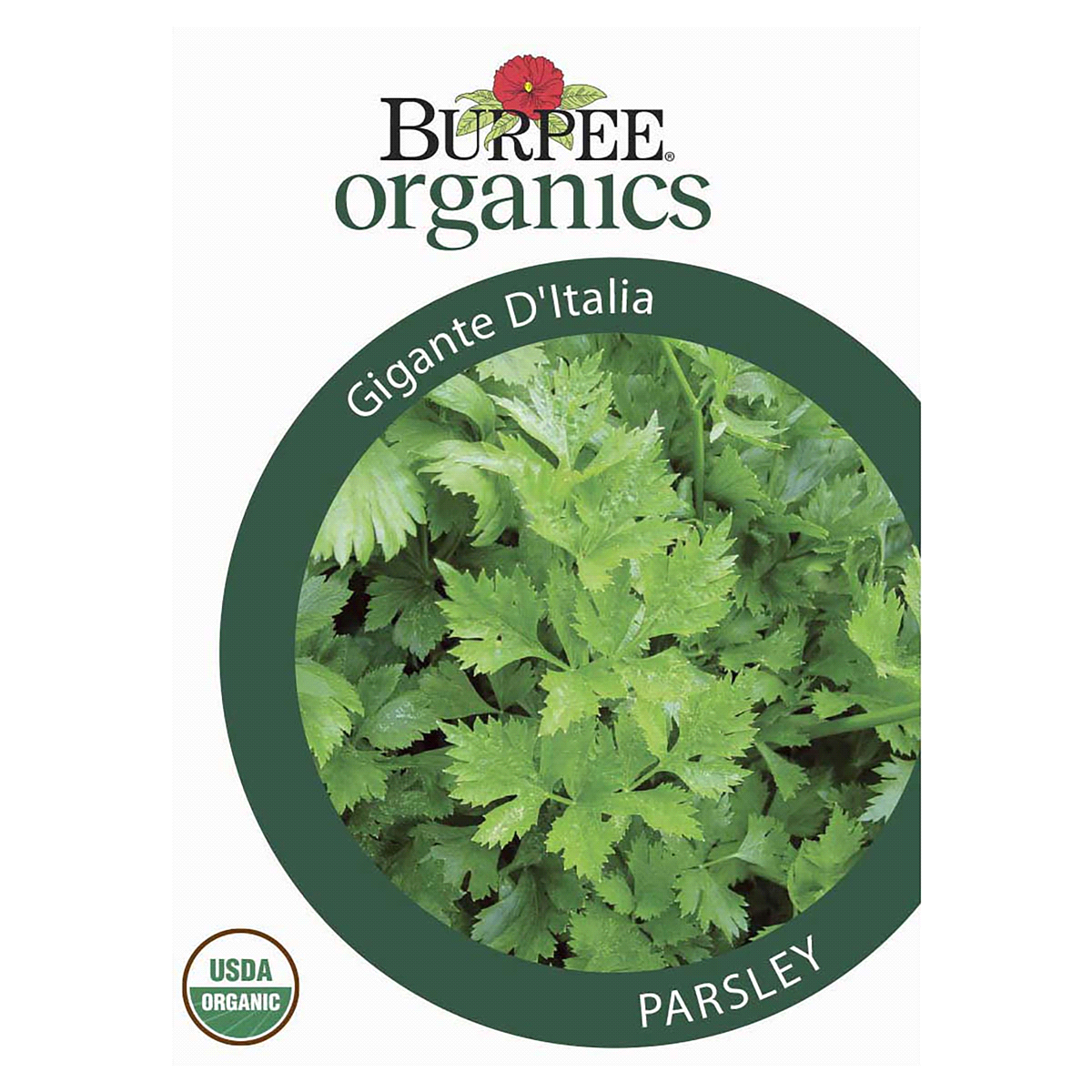 slide 1 of 5, Burpee Parsley Gigante D'Italia Seeds, 1 ct