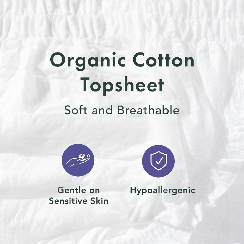 slide 4 of 11, Rael Organic Disposable Period Underwear - L/XL - 5ct, 5 ct