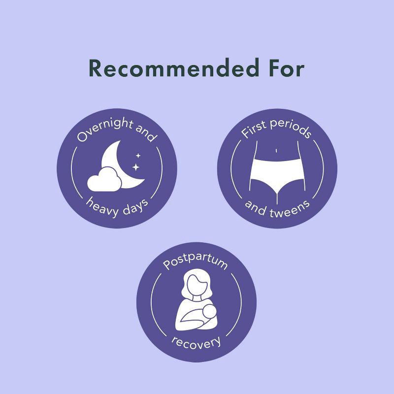 slide 10 of 11, Rael Organic Disposable Period Underwear - L/XL - 5ct, 5 ct
