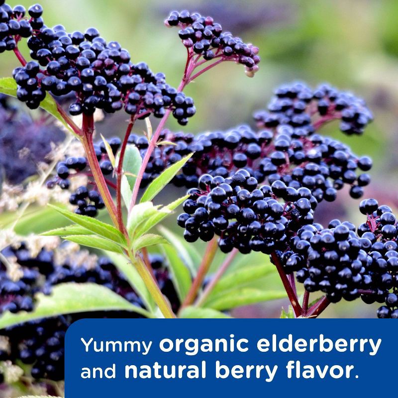 slide 8 of 13, Mommy's Bliss Infant Pain & Fever Acetaminophen - 2 fl oz, 2 fl oz