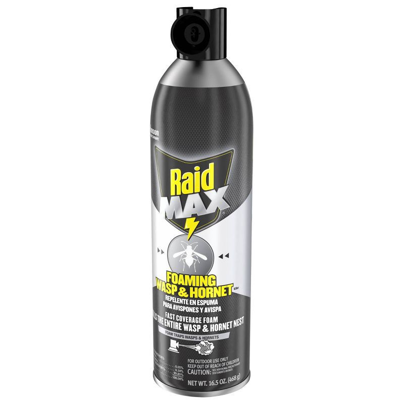 slide 12 of 13, Raid Max Foaming Wasp and Hornet Bug Spray - 16.5oz, 16.5 oz