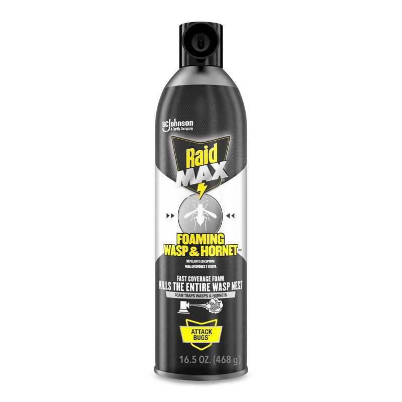 slide 1 of 13, Raid Max Foaming Wasp and Hornet Bug Spray - 16.5oz, 16.5 oz