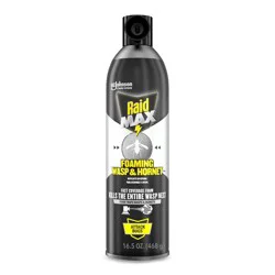 Raid Max Foaming Wasp and Hornet Spray - 16.5oz
