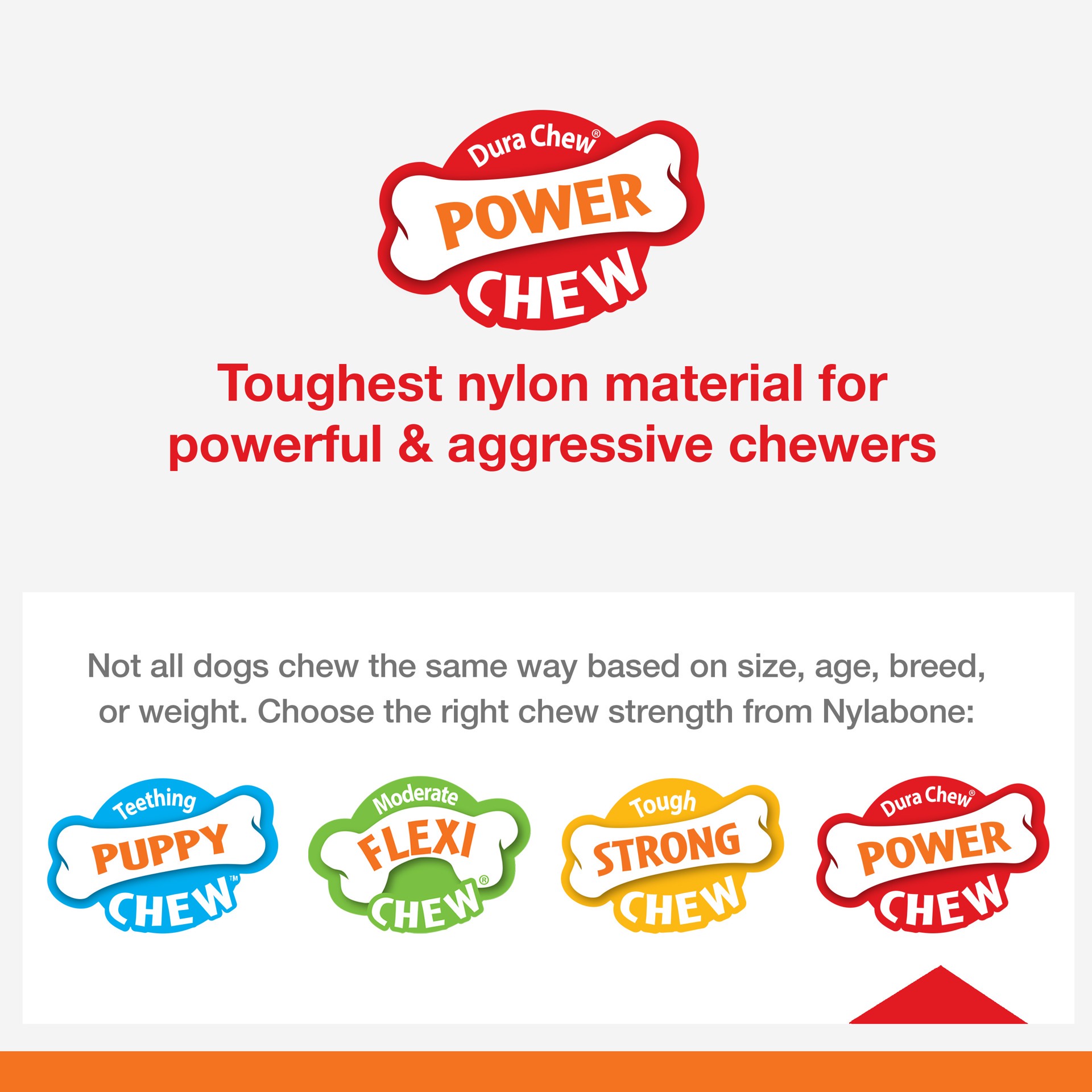 slide 2 of 10, Nylabone Power Chew Basted Blast Dual Flavored Dog Chew Toys Medium/Wolf - Up to 35 lbs.(1 Count), 1 ct