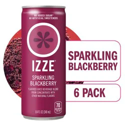IZZE Blackberry Sparkling Juice - 6pk/8.4 fl oz Cans