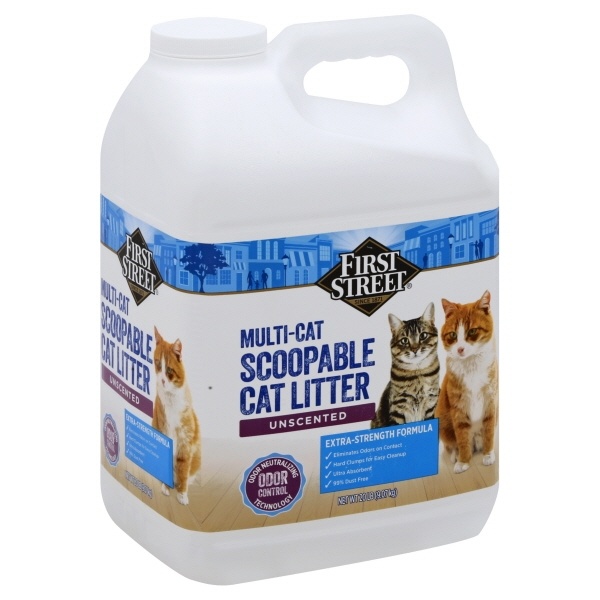 slide 1 of 1, First Street Unscented Scoopable Cat Litter, 20 lb