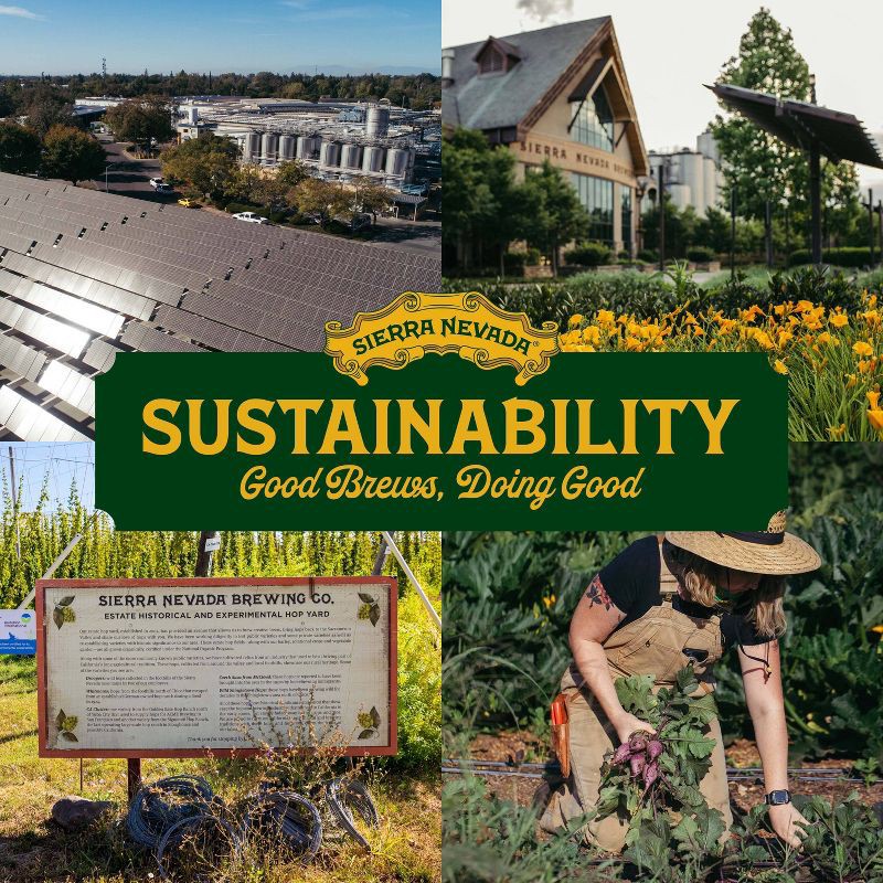 slide 6 of 12, Sierra Nevada Hazy IPA Variety Pack - 12pk/12 fl oz Cans, 12 ct; 12 fl oz