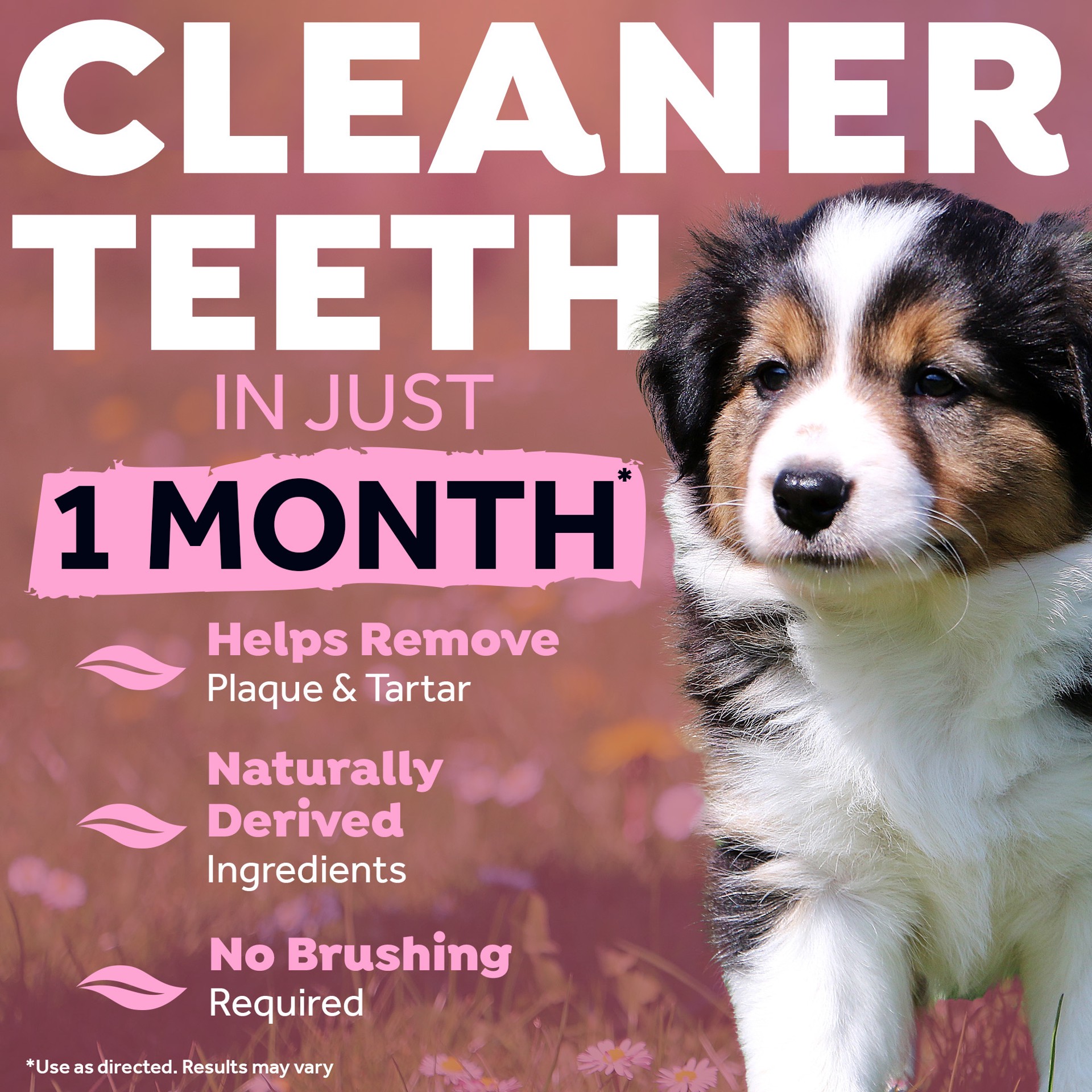 slide 8 of 10, TropiClean Fresh Breath No Brushing Clean Teeth Dental & Oral Care Gel for Puppies, 2oz, 2 oz