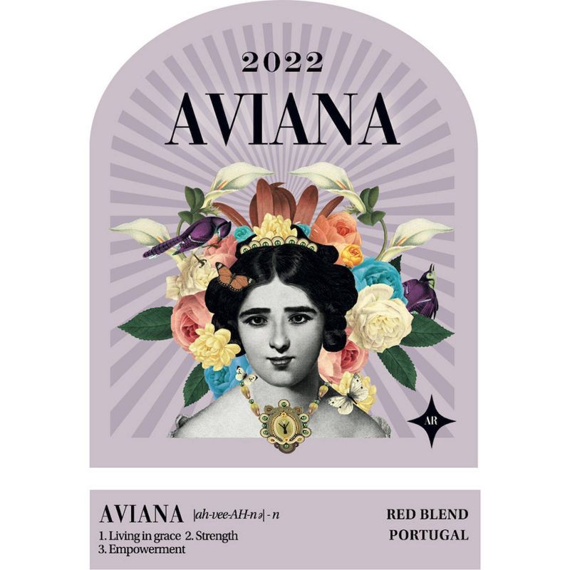 slide 2 of 10, Aviana Red Blend Wine - 750ml Bottle, 750 ml