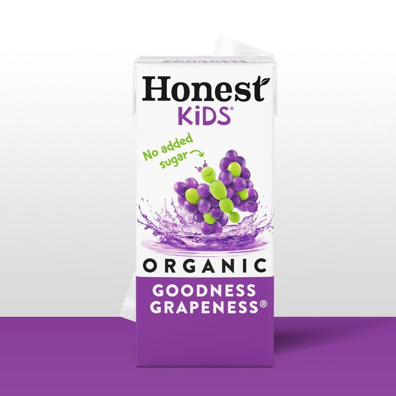 slide 2 of 11, Honest Kids Goodness Grapeness Organic Juice Drink - 8pk/6 fl oz Boxes, 8 ct; 6 fl oz