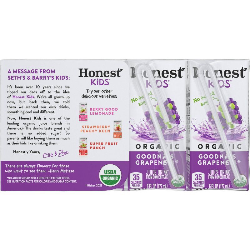 slide 5 of 9, Honest Kids Goodness Grapeness Organic Juice Drink - 8pk/6 fl oz Boxes, 8 ct; 6 fl oz