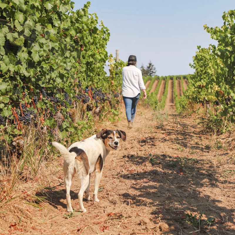 slide 4 of 5, Chehalem Winery Chehalem Inox Chardonnay - 750ml Bottle, 750 ml