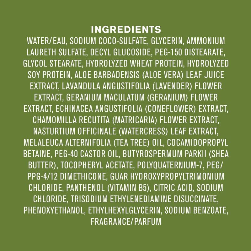 slide 7 of 8, Every Man Jack Men's 2-in-1 Shampoo + Conditioner - Tea Tree - Trial Size - 3.0 fl oz, 3 fl oz