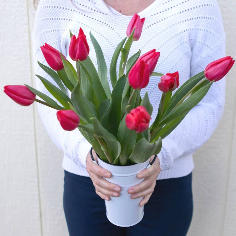slide 2 of 5, Fresh Cut 10-stem Red Tulip Flowers - Spritz™, 1 ct