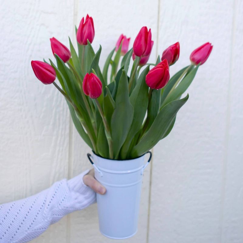 slide 5 of 5, Fresh Cut 10-stem Red Tulip Flowers - Spritz™, 1 ct