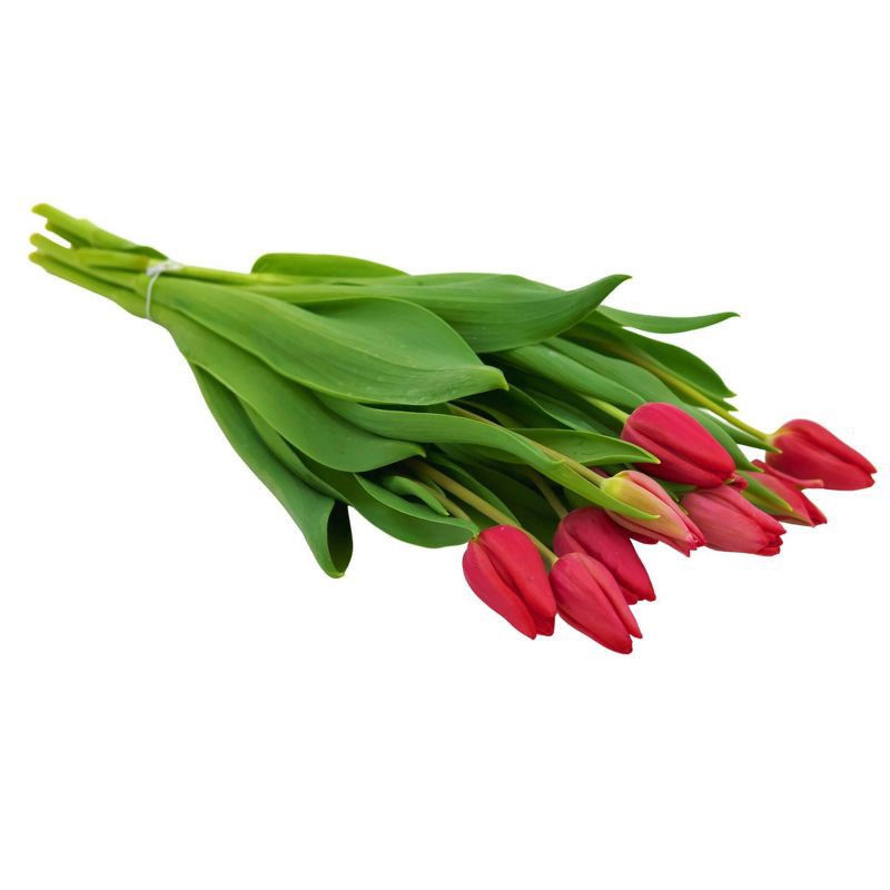 slide 1 of 5, Fresh Cut 10-stem Red Tulip Flowers - Spritz™, 1 ct