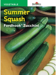 Burpee Fordhook Zucchini Summer Squash Seeds - Green