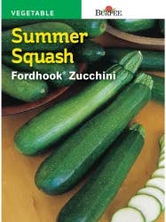 Burpee Fordhook Zucchini Summer Squash Seeds - Green