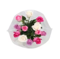 Market Fresh Dozen Roses