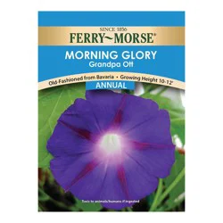 Ferry Morse Morning Glory