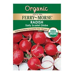 Ferry Morse Radish-Organic
