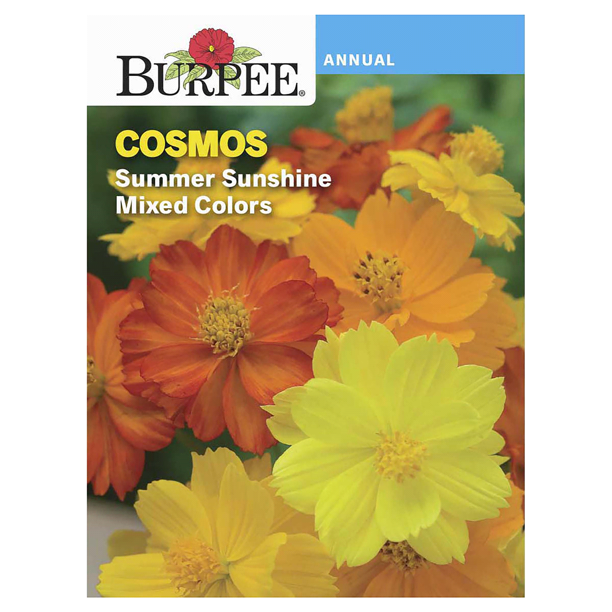 slide 1 of 5, Burpee Cosmos Summer Sunshine Mix Seeds, 1 ct