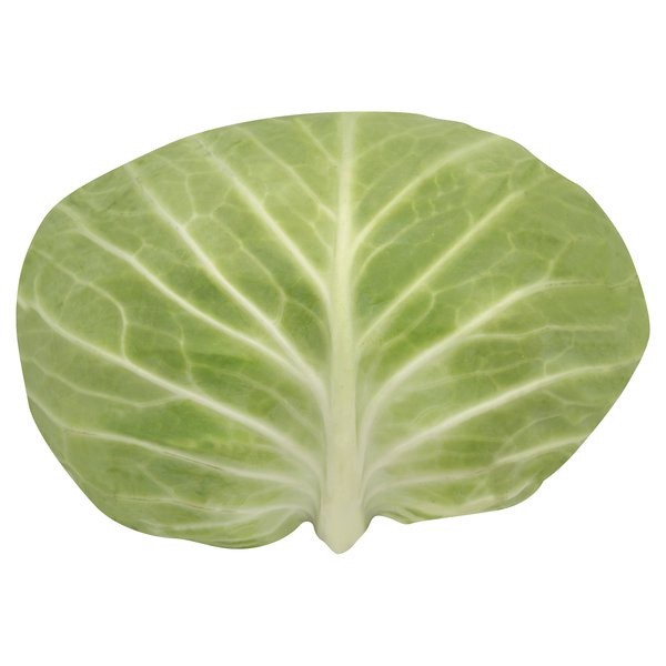 slide 1 of 1, Green Cabbage, 1 ct