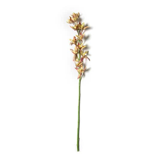 slide 1 of 3, Rust Red Boat Orchid Stem By Ashland, 36 in