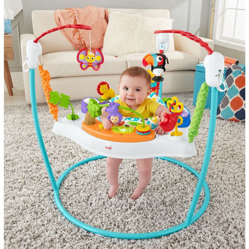 slide 2 of 14, Fisher-Price Animal Activity Jumperoo, 1 ct