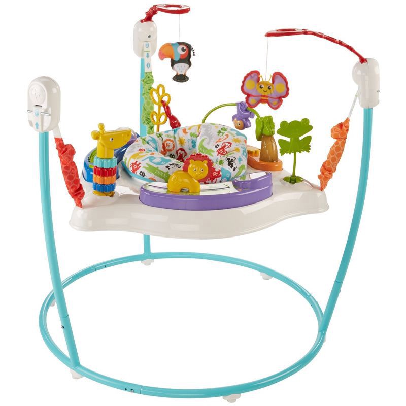 slide 12 of 14, Fisher-Price Animal Activity Jumperoo, 1 ct