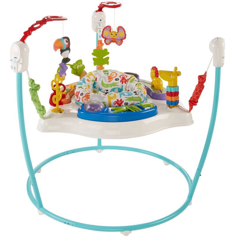 slide 13 of 14, Fisher-Price Animal Activity Jumperoo, 1 ct