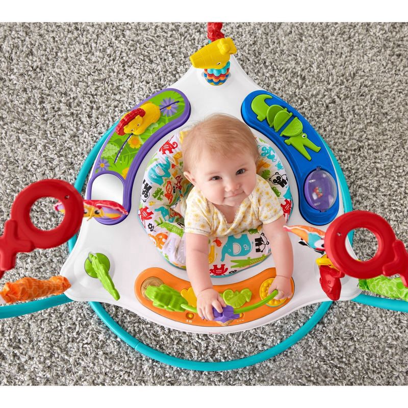 slide 4 of 14, Fisher-Price Animal Activity Jumperoo, 1 ct