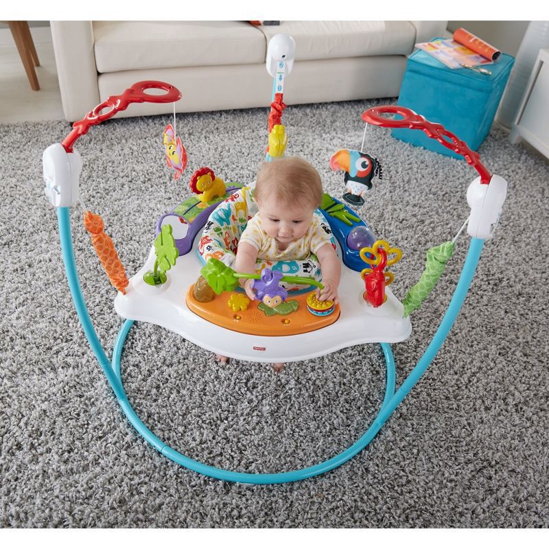 slide 7 of 14, Fisher-Price Animal Activity Jumperoo, 1 ct