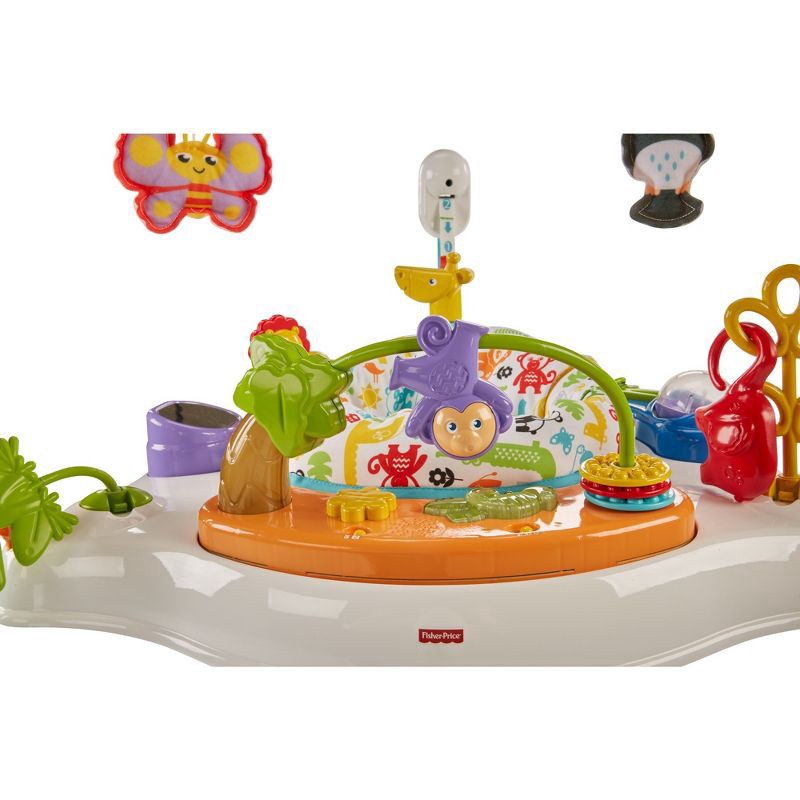 slide 9 of 14, Fisher-Price Animal Activity Jumperoo, 1 ct