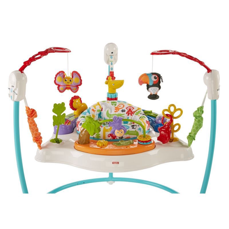 slide 11 of 14, Fisher-Price Animal Activity Jumperoo, 1 ct