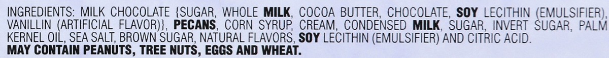 slide 4 of 10, Russell Stover Milk Choc Sea Salt Pecan Delights Hldy Bowline Box, 8.1 oz