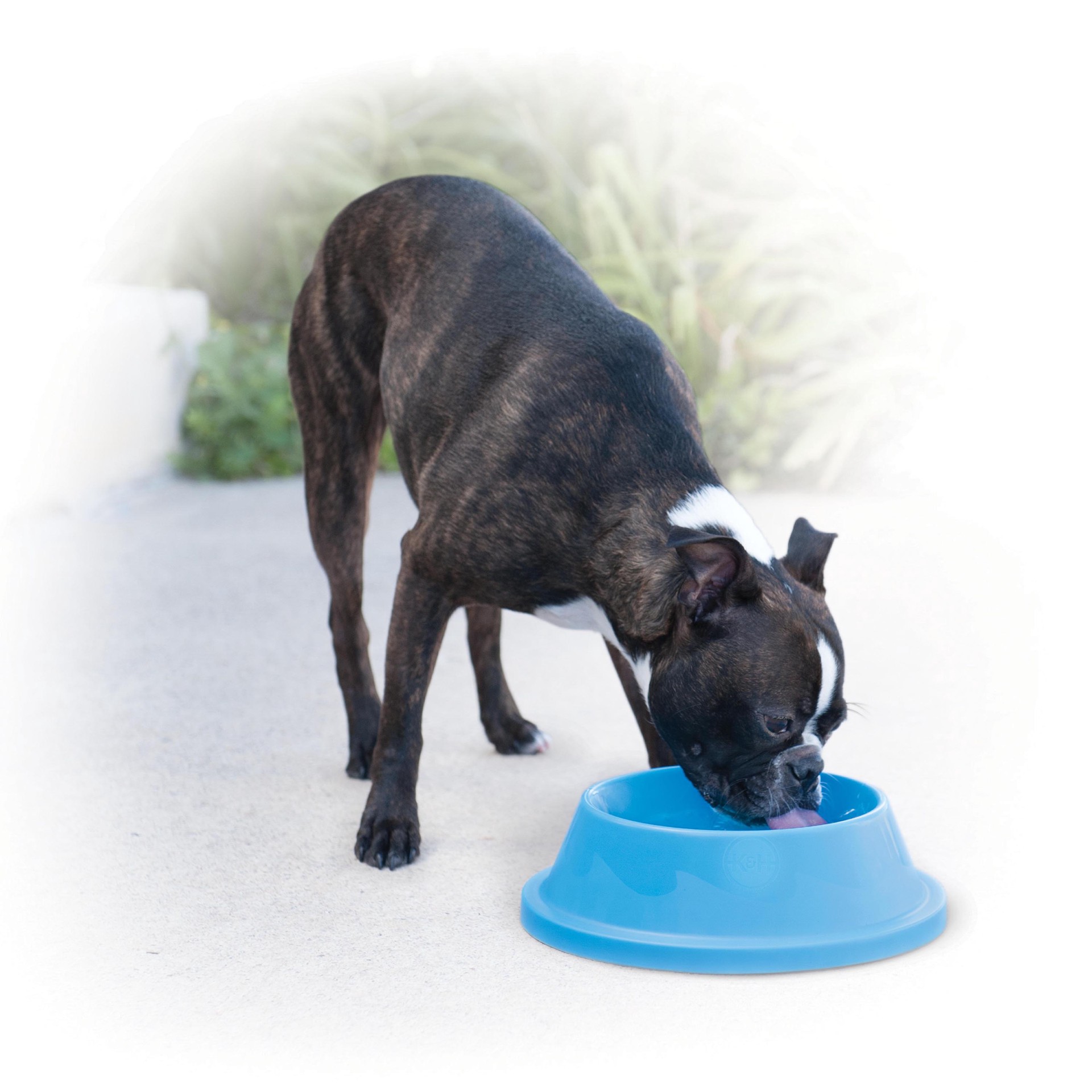 slide 1 of 8, K & H K&H Pet Products Coolin' Pet Bowl Sky Blue 32 Ounces, 32 oz