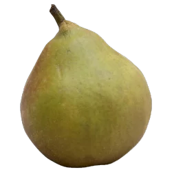 Pears Seckle