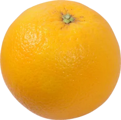 Valencia Orange