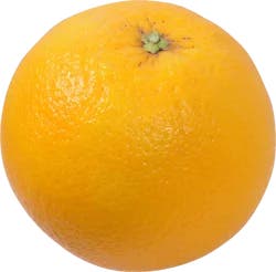 Valencia Orange