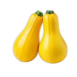 Organic Yellow Squash
