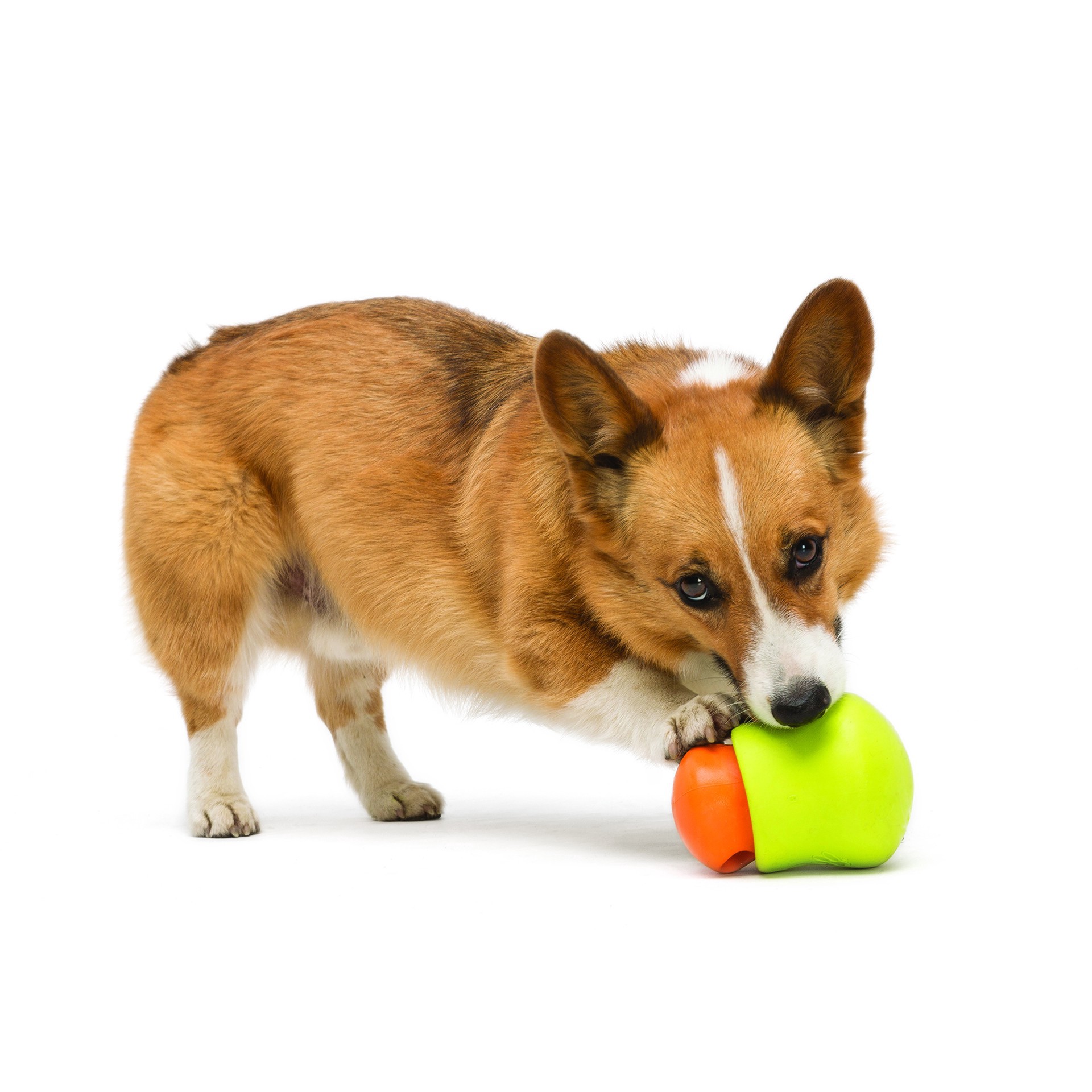 slide 2 of 17, West Paw Toppl Dog Toy Green Small 3", 3 in