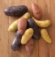 Fingerling Potatoes