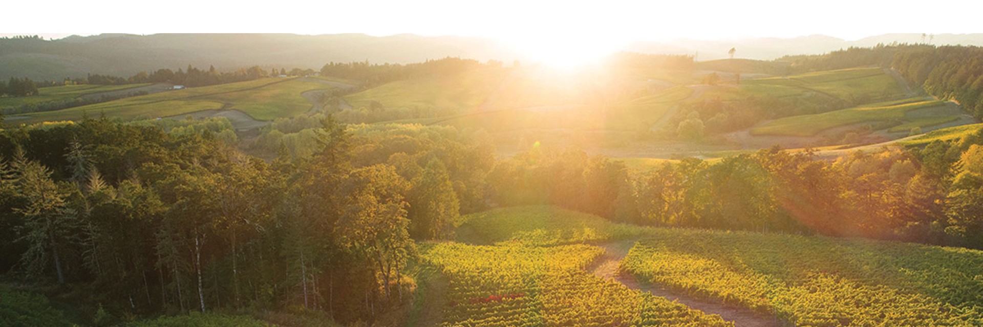 slide 2 of 3, Resonance Founders Block, 750 ml