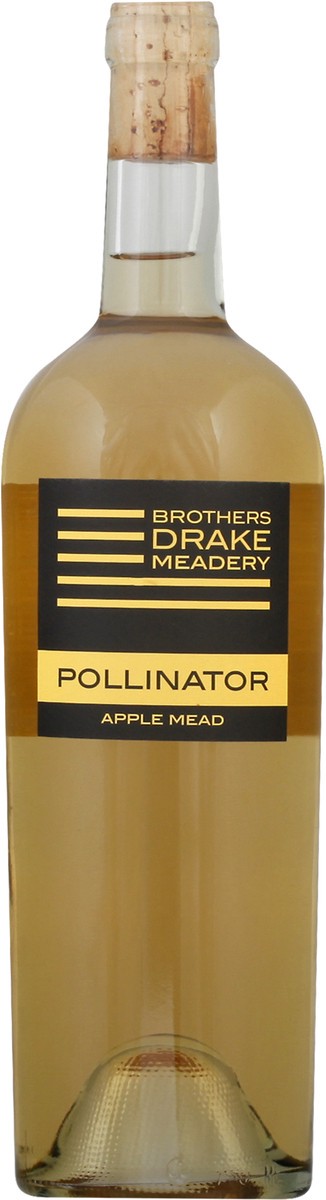 slide 1 of 1, Brothers Drake Meadery Apple Mead 750 ml, 750 ml