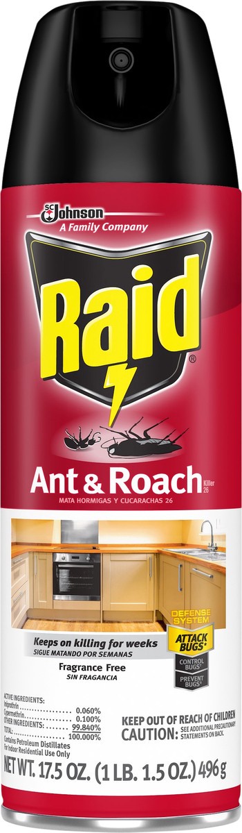 slide 5 of 9, Raid Fragrance Free Ant & Roach Killer 26 17.5 oz, 17.50 oz
