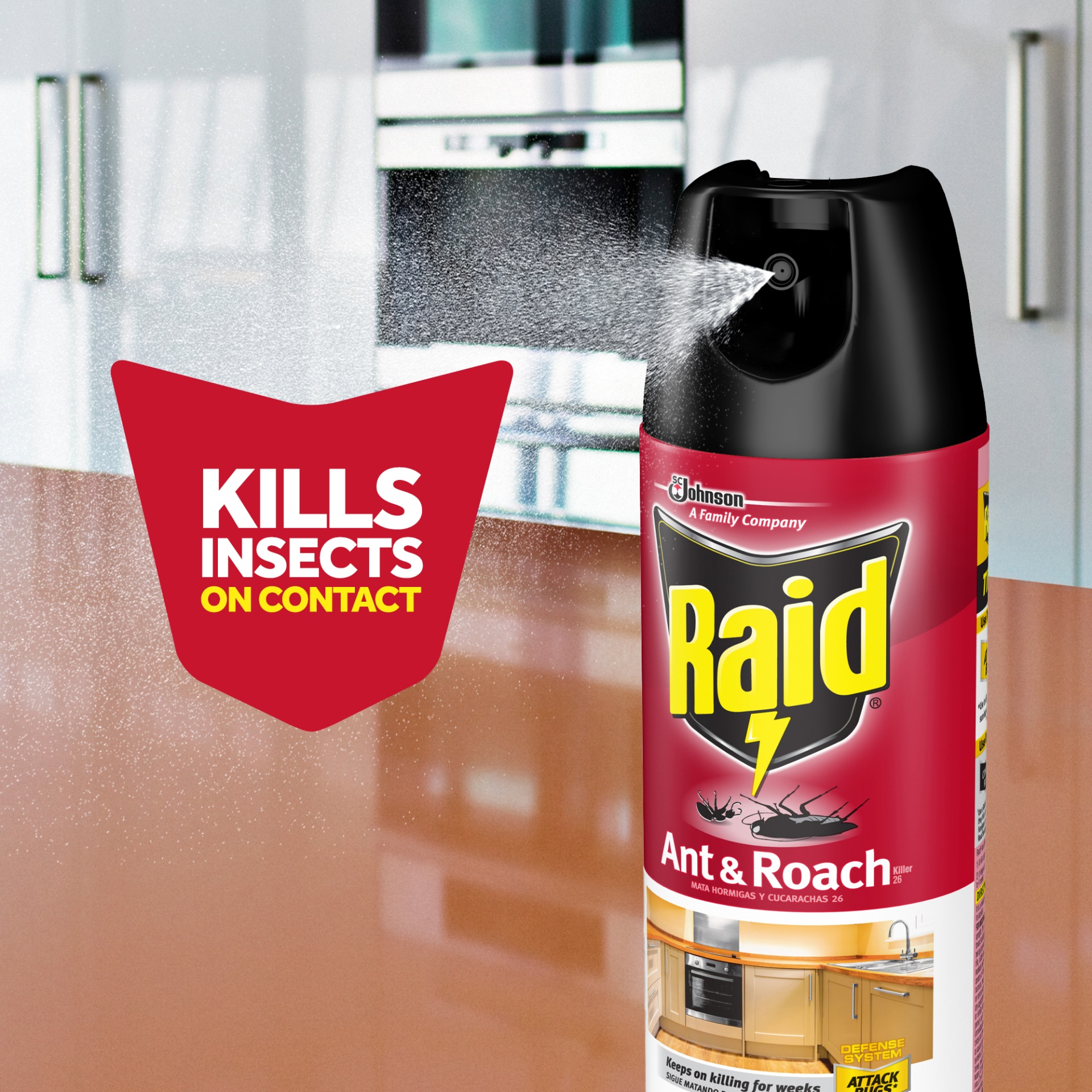 slide 6 of 7, Raid Ant & Roach Killer Fragrance Free, 17.5 oz