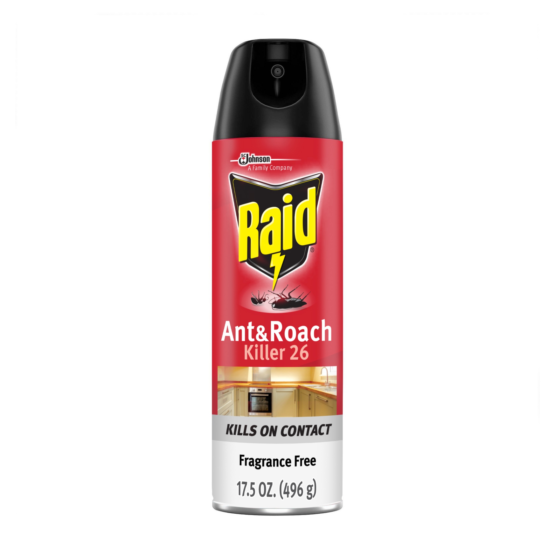 slide 1 of 7, Raid Ant & Roach Killer Fragrance Free, 17.5 oz