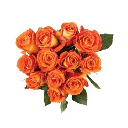 Nob Hill Trading Co. Dozen Orange Roses - 1 pc