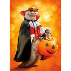 Avanti Card Halloween Vampire Otter